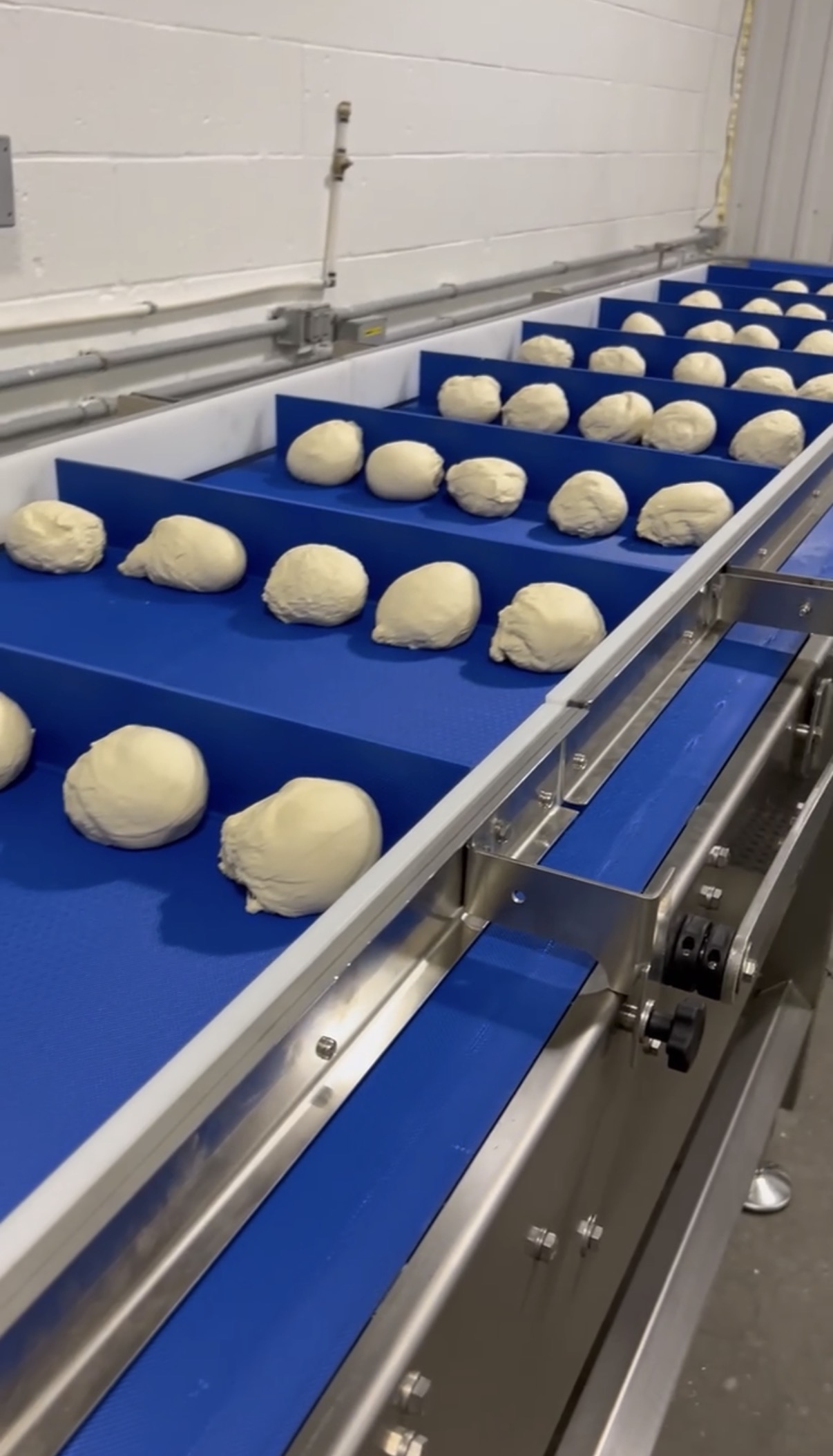 Flash-frozen pizza dough balls on food production conveyor line