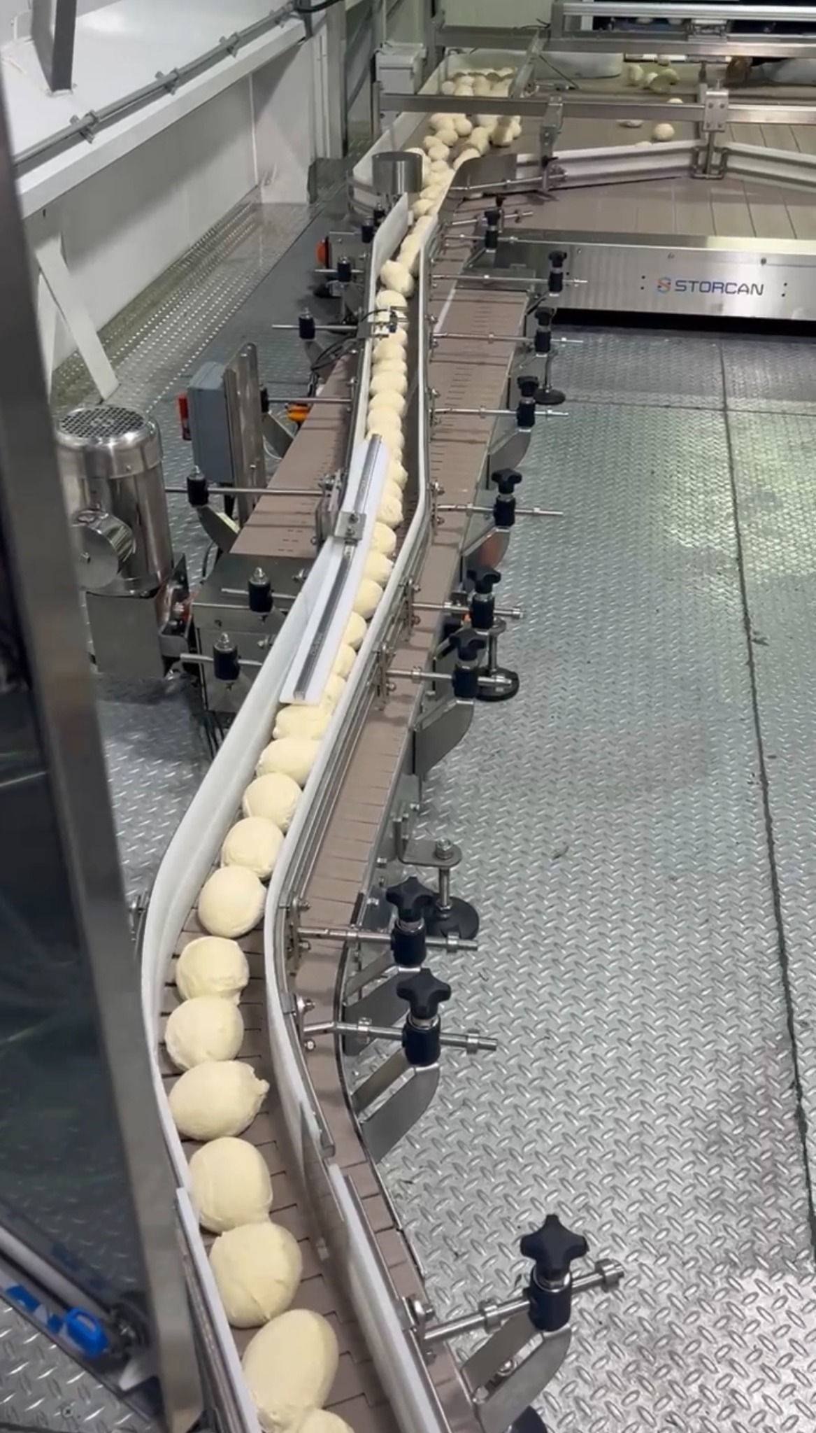 Flash-frozen pizza dough balls on food production line
