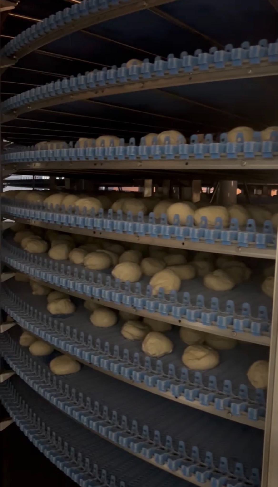 Pizza dough balls moving through food manufacturing process